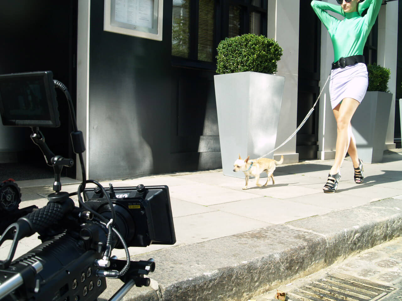 Phillips TV advert featuring Perry the chihuahua