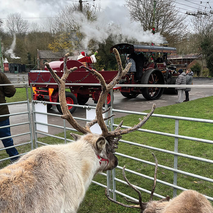 Vintage sleigh display