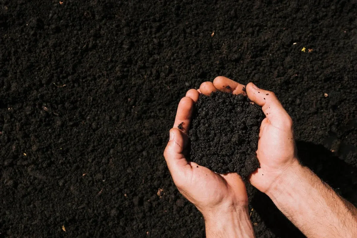 Compost & Topsoil