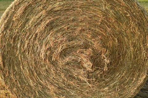 A round bale close up