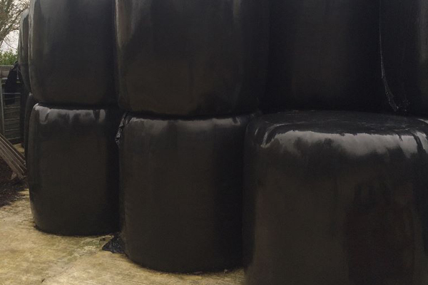 Square or round haylage bale
