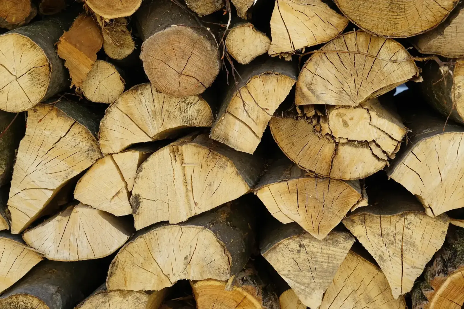 Kiln dried logs at the Staffordshire Log Store yard